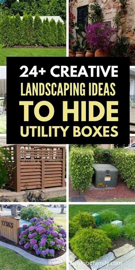 best plants to cover electrical boxes|plants to cover unpleasant areas.